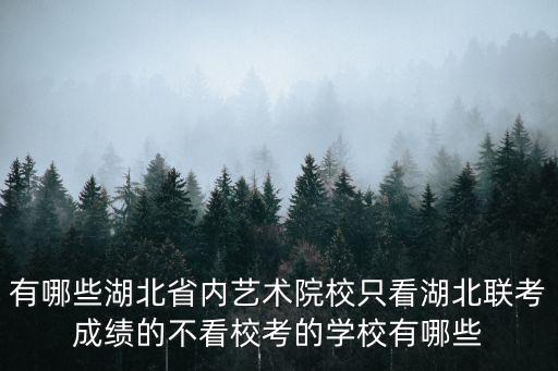 有哪些湖北省內(nèi)藝術院校只看湖北聯(lián)考成績的不看校考的學校有哪些