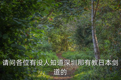 請問各位有沒人知道深圳那有教日本劍道的