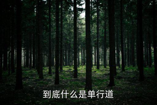 到底什么是單行道