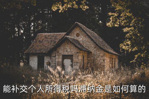 個稅補繳，能補交個人所得稅嗎滯納金是如何算的