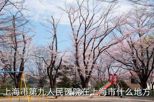 上海市第九人民醫院在上海市什么地方
