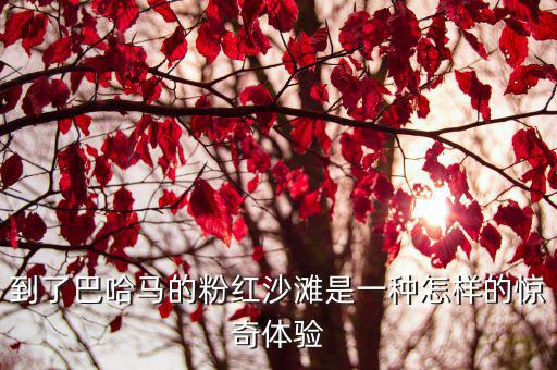 粉紅色沙灘，到了巴哈馬的粉紅沙灘是一種怎樣的驚奇體驗