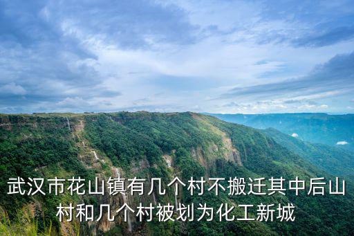 武漢市花山鎮(zhèn)有幾個(gè)村不搬遷其中后山村和幾個(gè)村被劃為化工新城
