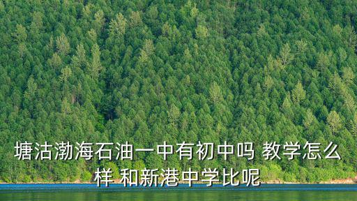 塘沽渤海石油一中有初中嗎 教學怎么樣 和新港中學比呢