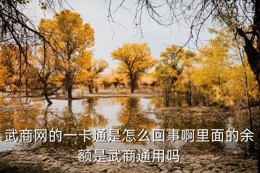 武商網的一卡通是怎么回事啊里面的余額是武商通用嗎
