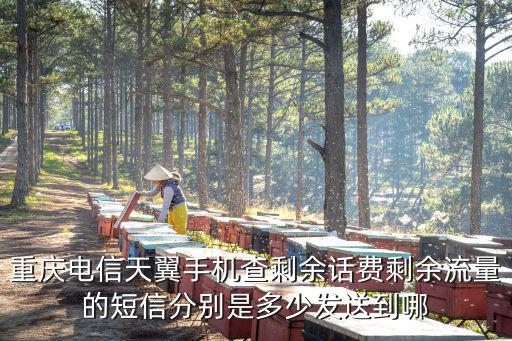重慶電信天翼手機查剩余話費剩余流量的短信分別是多少發送到哪
