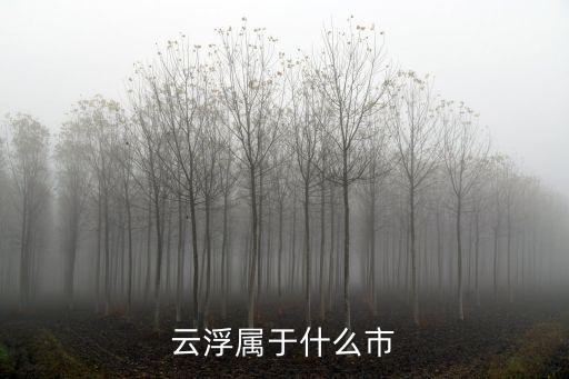 云浮屬于什么市