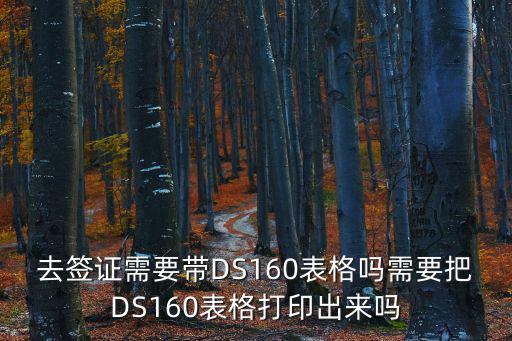 去簽證需要帶DS160表格嗎需要把DS160表格打印出來嗎