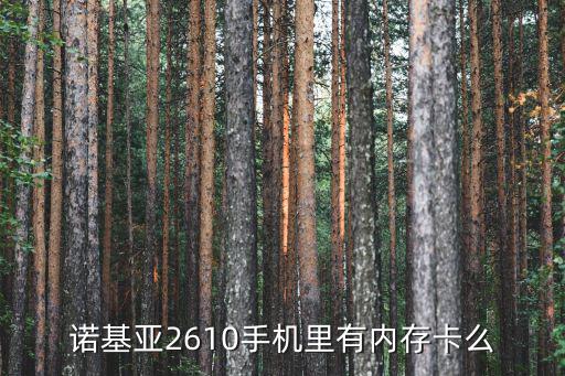 諾基亞2610手機里有內存卡么