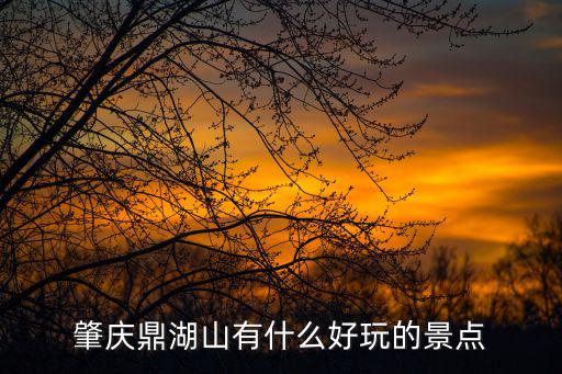 肇慶鼎湖山有什么好玩的景點