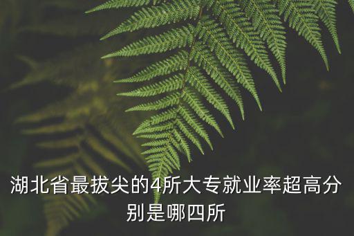 湖北省最拔尖的4所大專就業率超高分別是哪四所