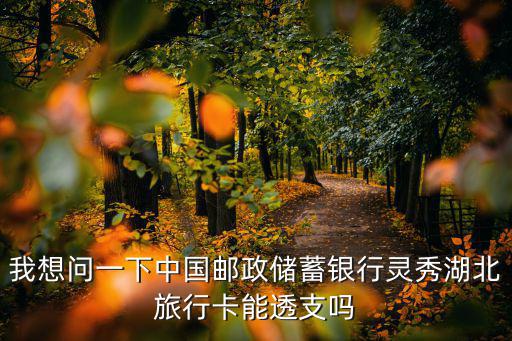 我想問一下中國郵政儲蓄銀行靈秀湖北旅行卡能透支嗎