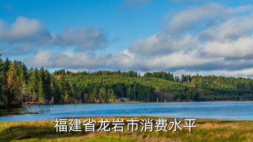 福建省龍巖市消費水平