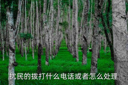 施工擾民投訴電話，晚上十點(diǎn)多鐘仍然施工燥聲大影響休息向那投訴