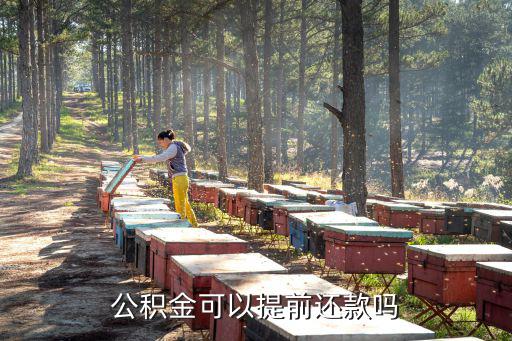 公積金可以提前還款嗎