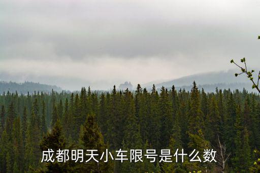 成都明天小車限號是什么數