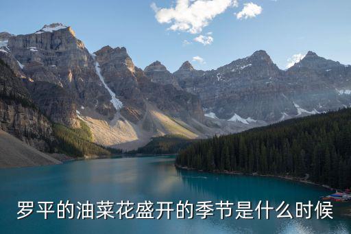 羅平的油菜花盛開的季節是什么時候