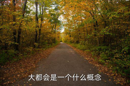 大都會是一個什么概念
