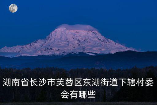 湖南省長(zhǎng)沙市芙蓉區(qū)東湖街道下轄村委會(huì)有哪些