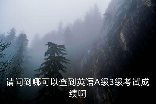 請問到哪可以查到英語A級3級考試成績啊