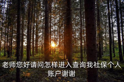 老師您好請(qǐng)問(wèn)怎樣進(jìn)入查詢我社保個(gè)人賬戶謝謝