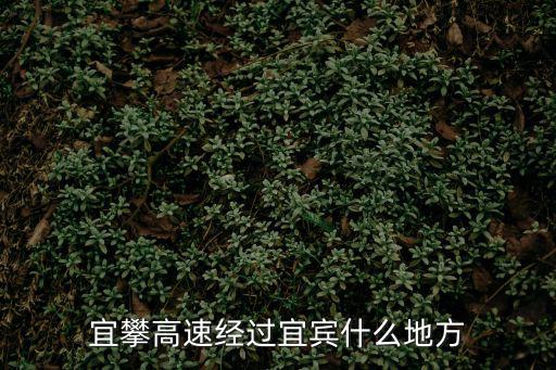 宜攀高速，宜攀高速布拖到會東多少公里