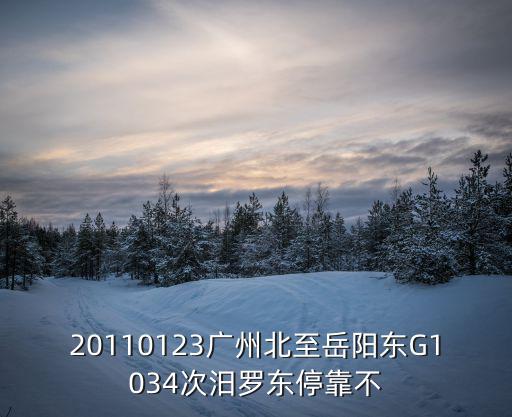 20110123廣州北至岳陽東G1034次汨羅東停靠不