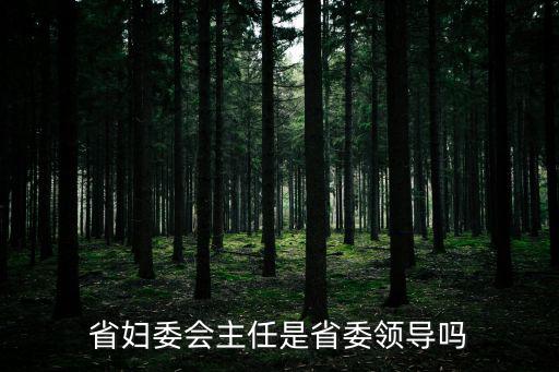 省婦委會主任是省委領導嗎