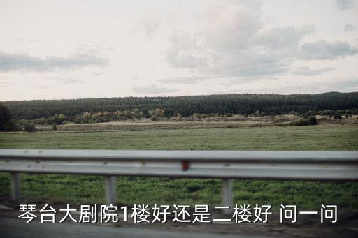 琴臺大劇院1樓好還是二樓好 問一問