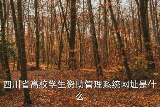 四川省高校學生資助管理系統網址是什么