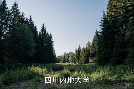 四川內地大學