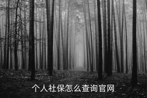 社保繳費查詢，社保繳費查詢方式有哪些