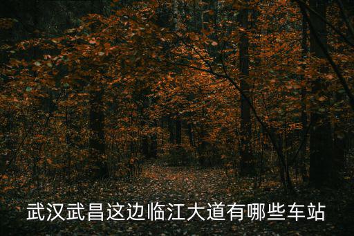 武漢武昌這邊臨江大道有哪些車站
