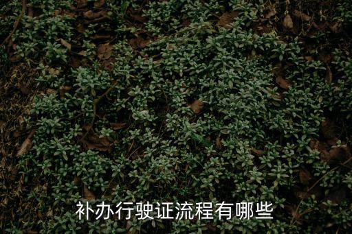 補辦行駛證流程有哪些