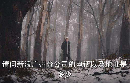 請(qǐng)問新浪廣州分公司的電話以及地址是多少