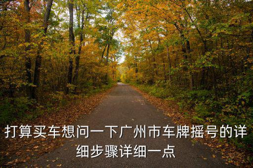 打算買車想問一下廣州市車牌搖號的詳細步驟詳細一點