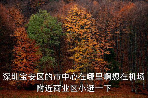 深圳寶安區(qū)的市中心在哪里啊想在機(jī)場(chǎng)附近商業(yè)區(qū)小逛一下