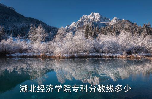 湖北經濟學院專科分數線多少