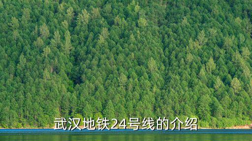 武漢地鐵24號線的介紹