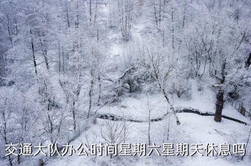 交通大隊(duì)辦公時(shí)間星期六星期天休息嗎