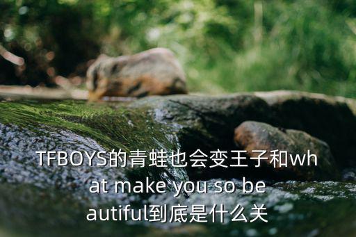 TFBOYS的青蛙也會變王子和what make you so beautiful到底是什么關