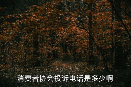 消費(fèi)者協(xié)會(huì)投訴電話是多少啊