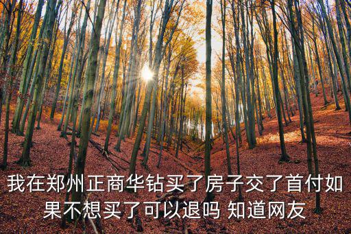 正商華鉆，我在鄭州正商華鉆買了房子交了首付如果不想買了可以退嗎 知道網友