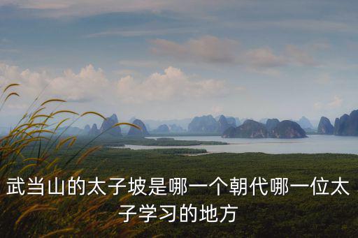 武當山的太子坡是哪一個朝代哪一位太子學習的地方
