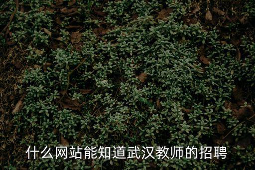 什么網站能知道武漢教師的招聘