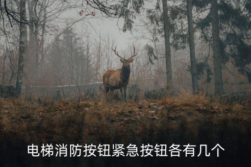 電梯消防按鈕緊急按鈕各有幾個