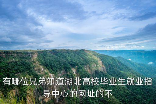 有哪位兄弟知道湖北高校畢業生就業指導中心的網址的不