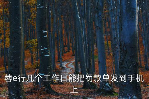 蓉e行幾個工作日能把罰款單發到手機上