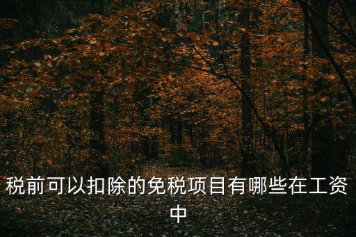 稅前可以扣除的免稅項目有哪些在工資中