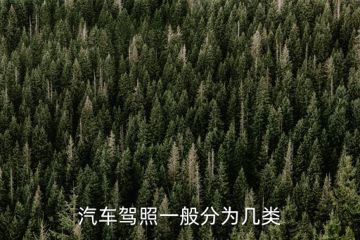 汽車(chē)駕照一般分為幾類(lèi)
